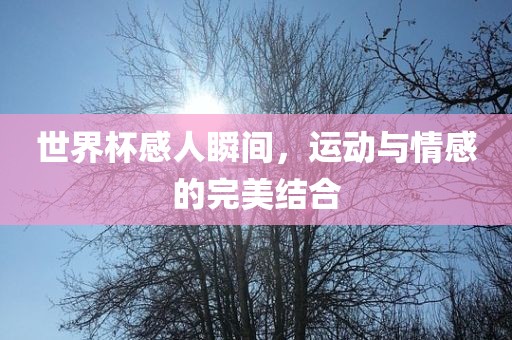 眉山市正发家政服务有限公司世界杯感人瞬间，运动与情感的完美结合