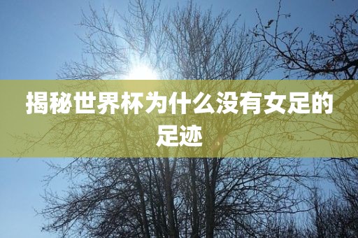揭秘世界杯为眉山市正发家政服务有限公司什么没有女足的足迹