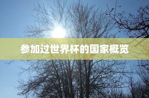 参加过世界杯的国家概览眉山市正发家政服务有限公司
