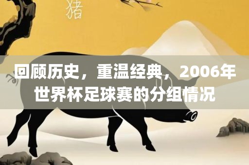 回顾历史，重温经典，2006年世界杯足球赛的分组情况眉山市正发家政服务有限公司