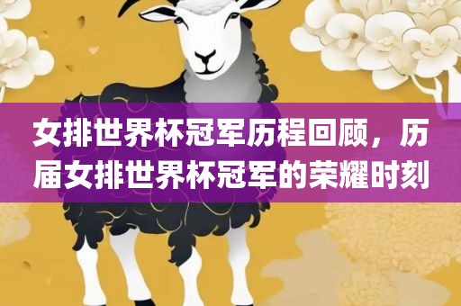 女排世界杯冠军历程回顾，历届女排世界杯冠军的荣耀时刻