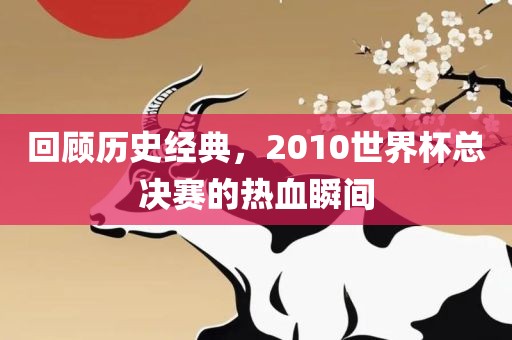 回顾历史经典，2010眉山市正发家政服务有限公司世界杯总决赛的热血瞬间