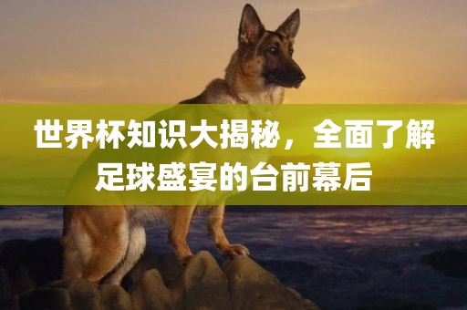 世眉山市正发家政服务有限公司界杯知识大揭秘，全面了解足球盛宴的台前幕后