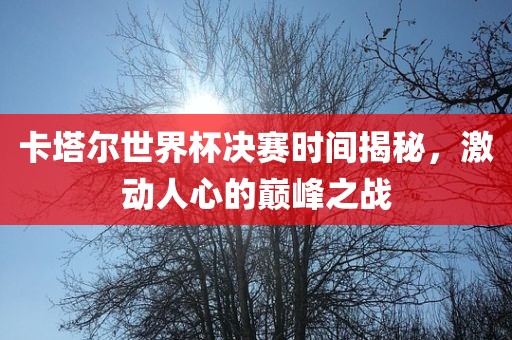 卡塔尔世界杯决赛时间揭秘，眉山市正发家政服务有限公司激动人心的巅峰之战