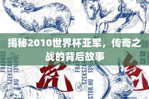 揭秘2010世界杯亚军，传奇之战的背后故事眉山市正发家政服务有限公司