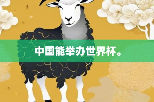 中国眉山市正发家政服务有限公司能举办世界杯。