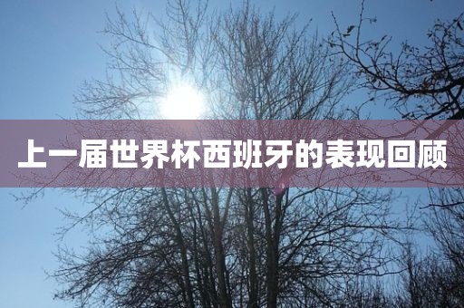 上一届世界杯西班牙的表现回顾眉山市正发家政服务有限公司