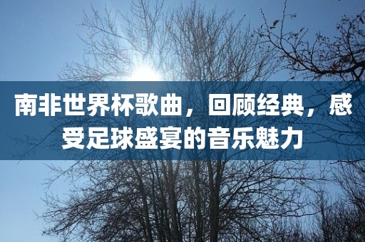 南非世界杯歌曲，回顾经典，感受足球盛宴的音乐魅力眉山市正发家政服务有限公司
