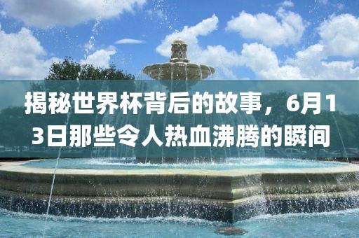 揭秘世界杯背后的故事，6月13日那些令人热血沸腾的瞬间眉山市正发家政服务有限公司