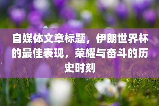 自媒体文章标题，伊朗世界杯的最佳表现，荣耀与奋斗的历史时刻眉山市正发家政服务有限公司