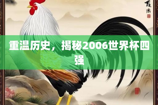 重温历史，揭秘2006世界杯四强眉山市正发家政服务有限公司