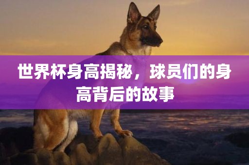 世界杯身高揭秘，球员们的身高背后的故事眉山市正发家政服务有限公司
