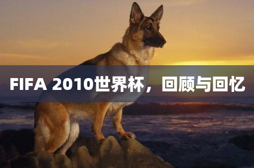 FIFA 2010世界杯，回顾与回忆