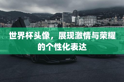 世界杯头像，展现激情与荣耀的个性化表达眉山市正发家政服务有限公司