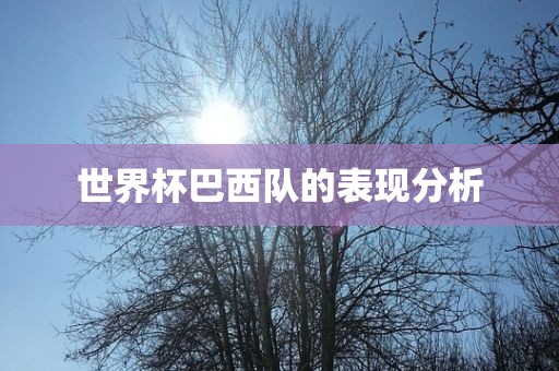 世界杯巴西队的表现分析