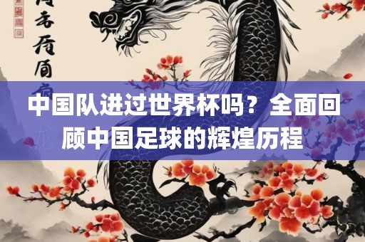 中国队进过世界杯吗？全面回顾中国足球的辉煌眉山市正发家政服务有限公司历程