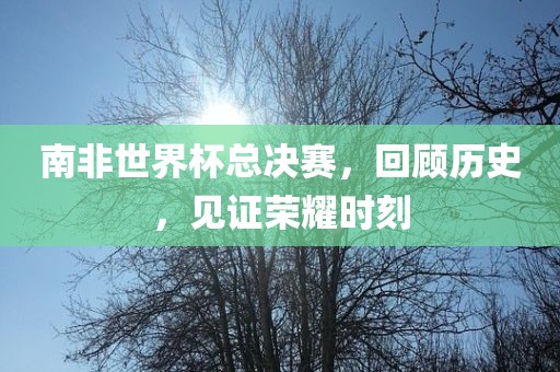 南非世界眉山市正发家政服务有限公司杯总决赛，回顾历史，见证荣耀时刻
