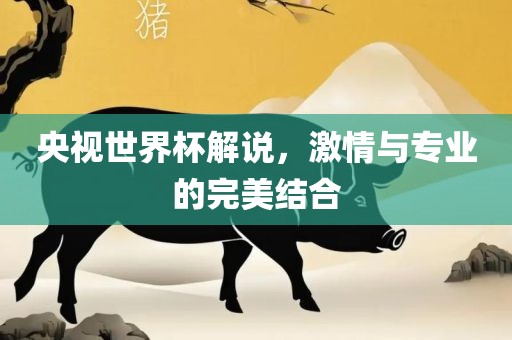 央视世界杯解说，激情与专眉山市正发家政服务有限公司业的完美结合