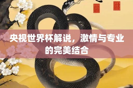 央视世界杯解说，激情与专业眉山市正发家政服务有限公司的完美结合