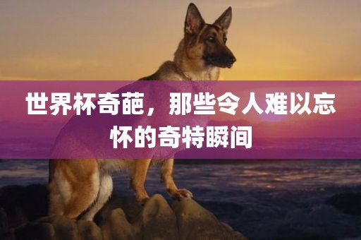 世界杯奇葩眉山市正发家政服务有限公司，那些令人难以忘怀的奇特瞬间