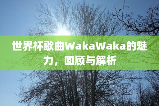 世界杯歌曲Wak眉山市正发家政服务有限公司aWaka的魅力，回顾与解析