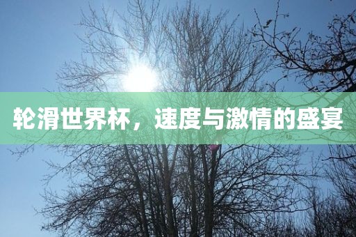 轮滑世界杯，速度与激情的盛宴