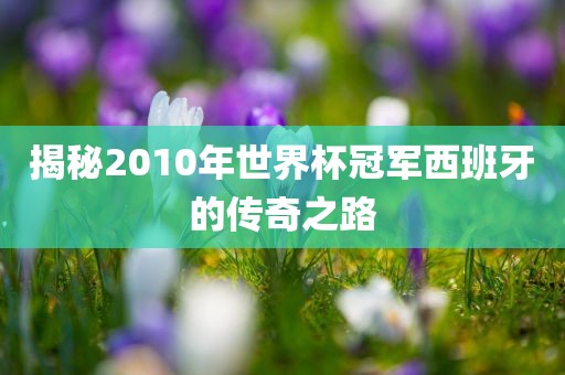 揭秘2010年世界杯冠军西班牙的传奇之路眉山市正发家政服务有限公司