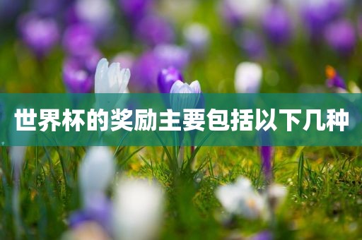 世界杯的奖励主要包括以下几种眉山市正发家政服务有限公司