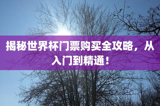揭秘世界杯门票购买全攻略，眉山市正发家政服务有限公司从入门到精通！