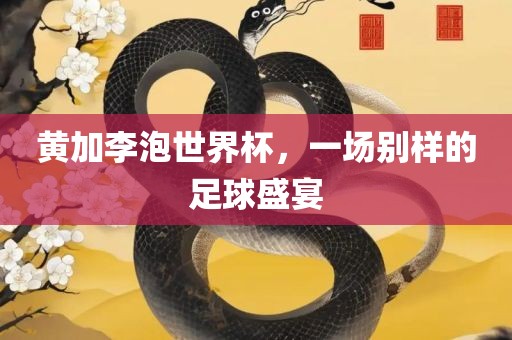 黄加李泡世界杯，一场别样的足球盛宴