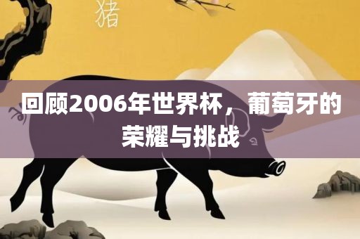 回顾2006年世界杯，葡萄牙的荣耀与挑战