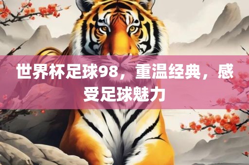 世界杯足球98，重温经眉山市正发家政服务有限公司典，感受足球魅力