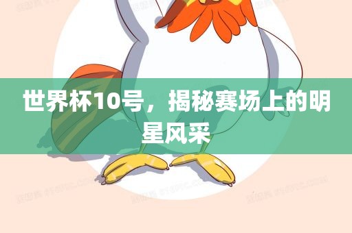 世界杯10号，揭秘赛场上的明星风采眉山市正发家政服务有限公司