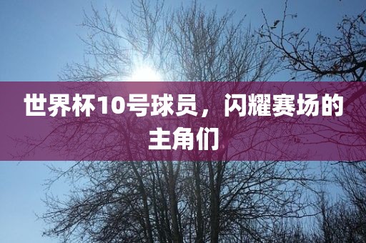 世界杯10号球员，闪眉山市正发家政服务有限公司耀赛场的主角们