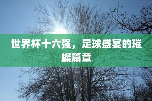 世界杯十六强，足球盛宴的璀璨篇章