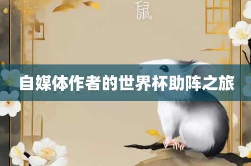 自媒体作者的世界杯助阵之旅眉山市正发家政服务有限公司