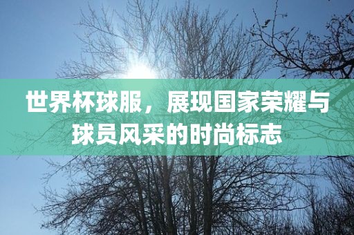 世界杯球服，展现国家荣耀与球员风采的时尚标志眉山市正发家政服务有限公司