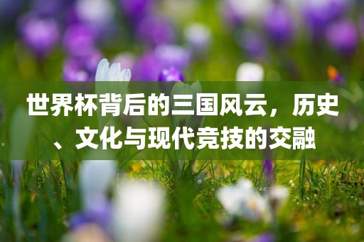 世界杯背后的三国风云，历史、文化与现代竞技的交融