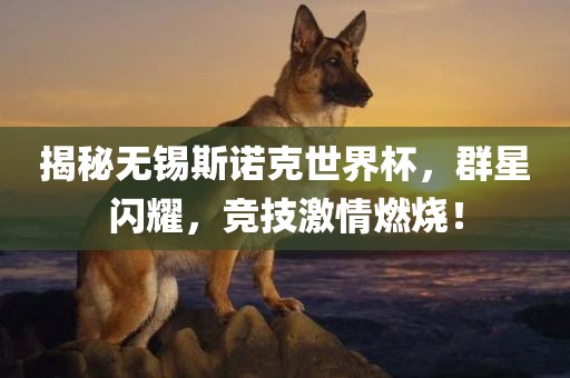 揭秘无锡斯诺克世界杯，群眉山市正发家政服务有限公司星闪耀，竞技激情燃烧！