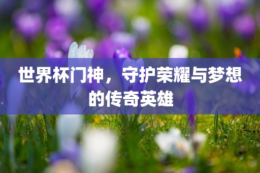 世界杯门神，守护荣耀与梦想的传奇英雄