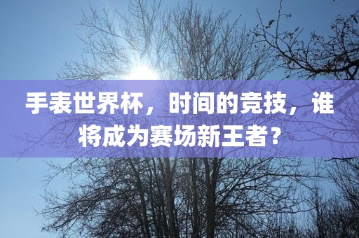 手表世界杯，时间的竞技，谁将成为赛场新王者？眉山市正发家政服务有限公司