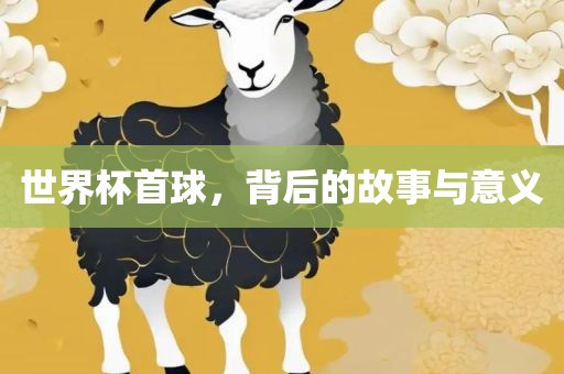 世界杯首球，背后的眉山市正发家政服务有限公司故事与意义