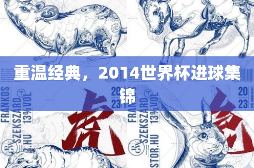 重温经典，2014世眉山市正发家政服务有限公司界杯进球集锦