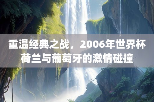 重温经典之战，20眉山市正发家政服务有限公司06年世界杯荷兰与葡萄牙的激情碰撞
