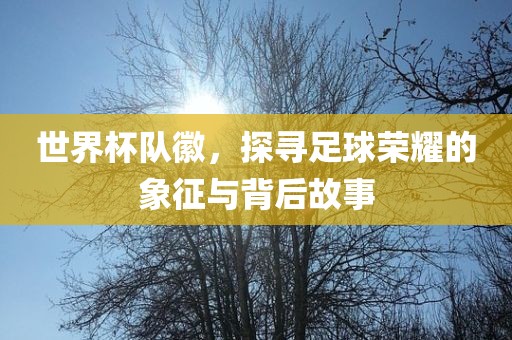 世界杯队徽，探寻足球荣耀的象征与背后故事眉山市正发家政服务有限公司