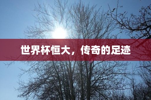 世界杯恒大，传奇的足迹眉山市正发家政服务有限公司