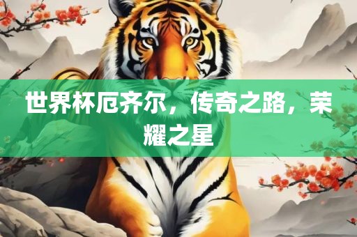 世界杯厄齐尔，传奇之路，荣耀之星