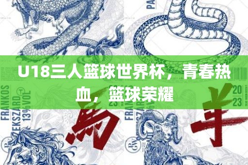 U18三人篮球世界杯，青春热血，篮球荣耀眉山市正发家政服务有限公司