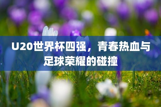 U20世界杯四强，青春热血与足球荣耀的碰撞