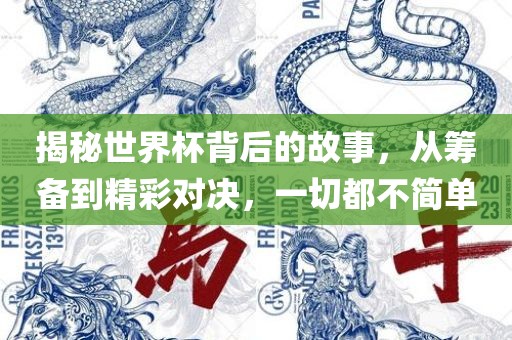 揭秘世界杯背后的故事，从筹备到精彩对决，一切都不简单眉山市正发家政服务有限公司